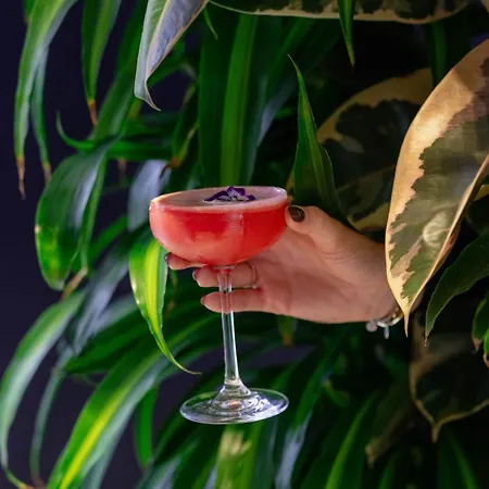 The Jangle - Paris - Charles De Gaulle - Airport Hotel 4*